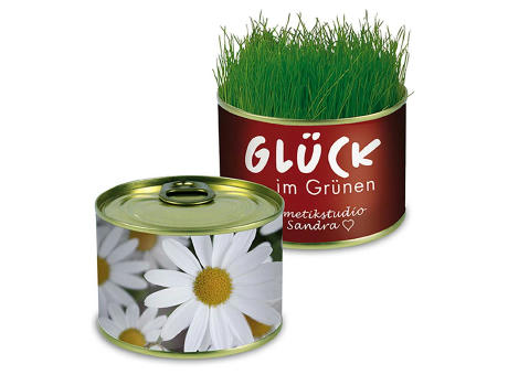 Natur-Konserve mit Samen - Basilikum
