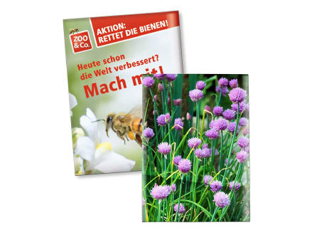 Samentütchen Klein - Standardpapier - Petersilie
