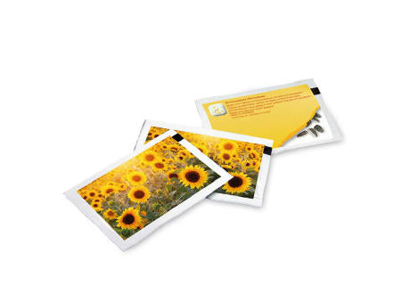 Samen-Briefchen - Standardmotiv - Sonnenblume - Sonnenblume