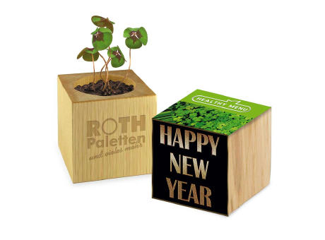 Pflanz-Holz - Standardmotiv - Glücksklee - ohne Lasergravur (* Je nach Verfügbarkeit der Glücksklee-Zwiebeln)