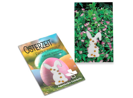 Samen-Karte-Mini Ostern - Basilikum