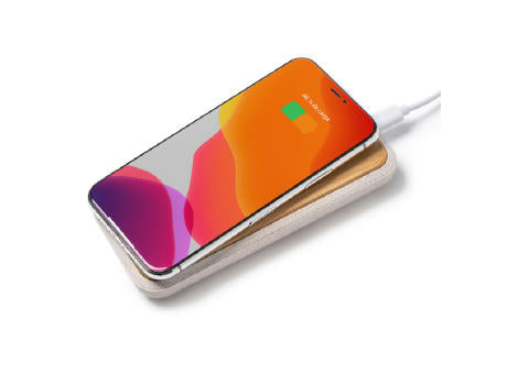 EXTERNE BATTERIE BLASTER S/EINHEITSGRÖSSE GREIGE