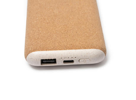EXTERNE BATTERIE ROTOX S/EINHEITSGRÖSSE GREIGE