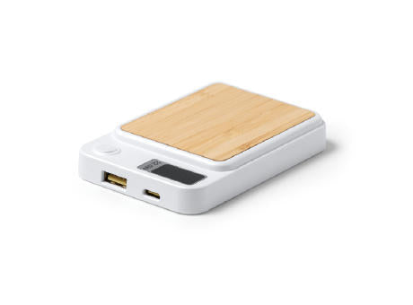 EXTERNE BATTERIE GUNDER S/EINHEITSGRÖSSE WHITE