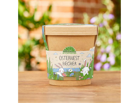 Pflanzen-Anzuchtset im Becher