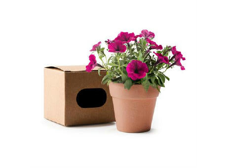 BLUMENTOPF VOLEN S/EINHEITSGRÖSSE GREIGE