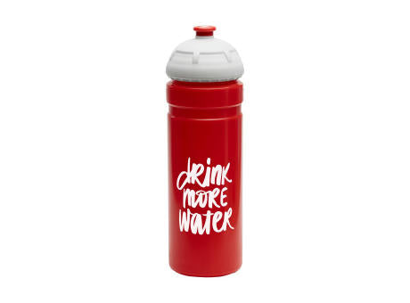 Trinkflasche "Champion" 0,7 l