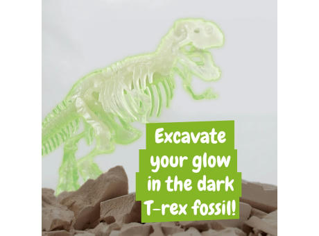 Fossil Excavation Kit I. Lernspiel für Kinder