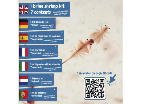 Jurassic Pets Kit I. Lernspiel für Kinder