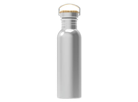 Wasserflasche Ashton 750ml