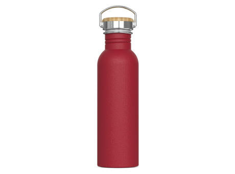 Wasserflasche Ashton 750ml