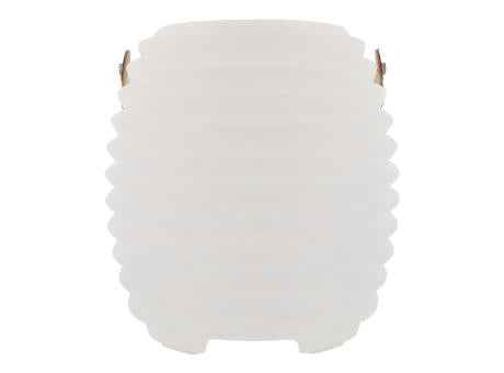 1626 | Coollux Mini Stimmungslicht und kabelloser Lautsprecher