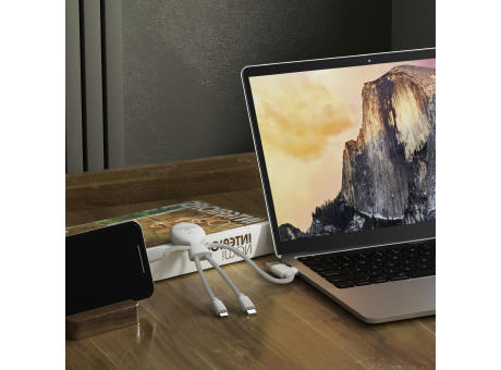 2099 | Xoopar Mr. Bio Smart Charging cable with NFC