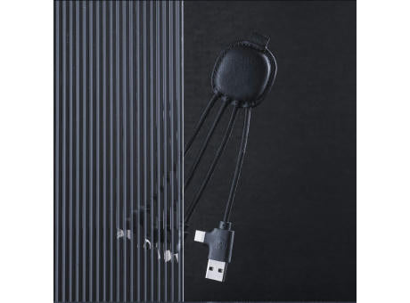 4000 | Xoopar Iné Smart Charging cable with NFC