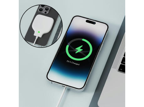 Xoopar Triton PD Magnetic Wireless Charger