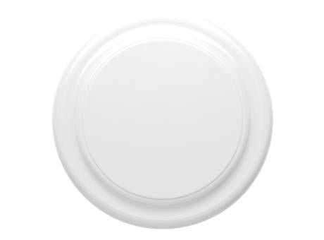 Frisbee