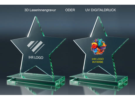 Crystal Trophy STARLETT (L)