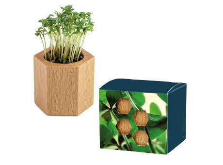 Pflanz-Holz Hexagon mit Samen - Fichte