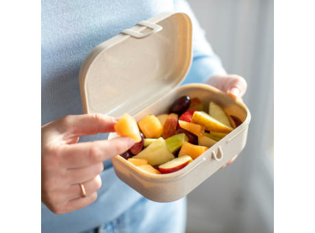 KOZIOL PASCAL S Lunchbox