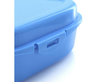 Sandwich Lunch Box Noix
