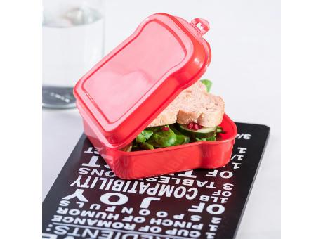 Sandwich Lunch Box Noix
