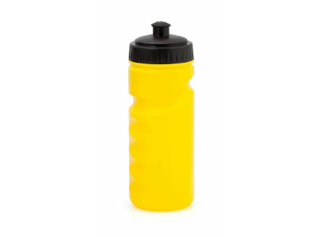 Trinkflasche Iskan