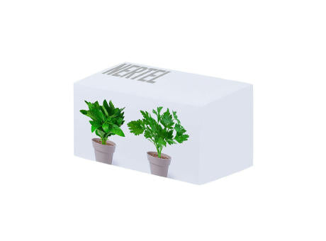 Blumentopf Set Nertel
