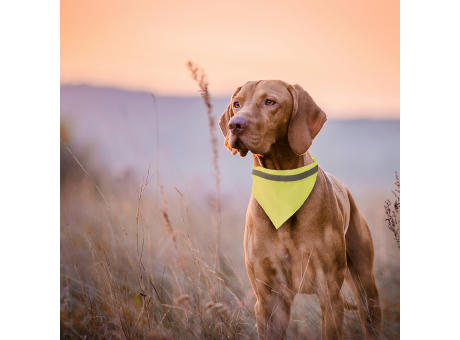 Halstuch Hundehalsband Bipols