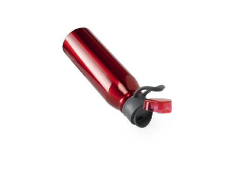 Trinkflasche Cartex