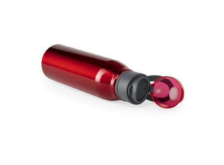 Trinkflasche Cartex