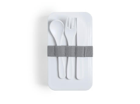 Antibakteriell Lunch Box Fandex
