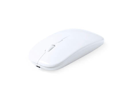 Maus Chestir RCS