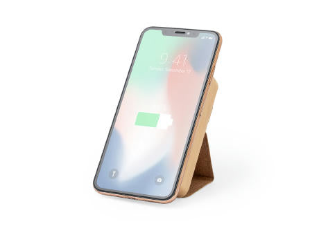 Power Bank Dobson