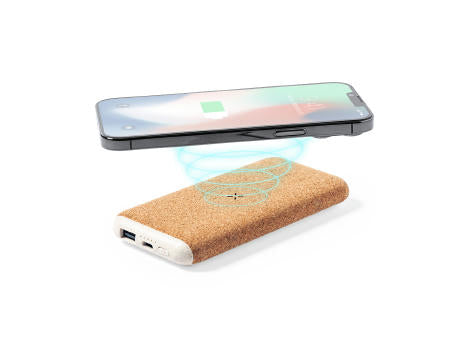 Power Bank Limerick