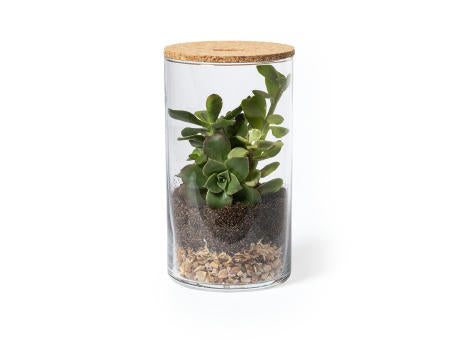 Terrarium Anymak