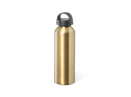 Trinkflasche Carthy