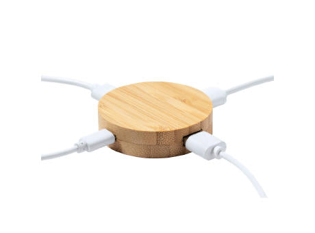 USB Hub Lasiar