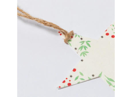 Samen Ornament Boster