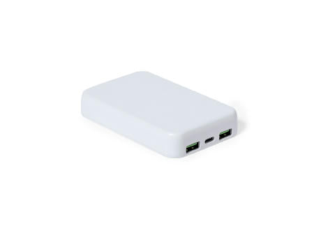 Power Bank Bramson