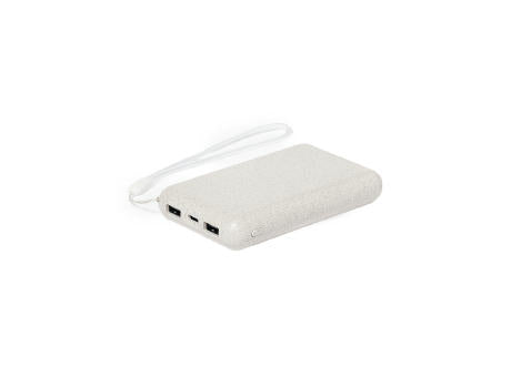 Power Bank Dawson