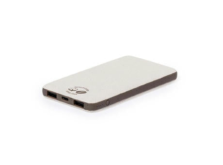 Power Bank Mayer