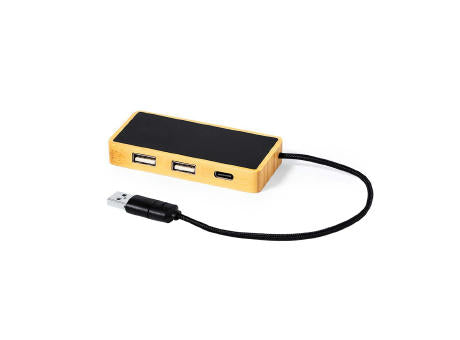 USB Hub Ginger