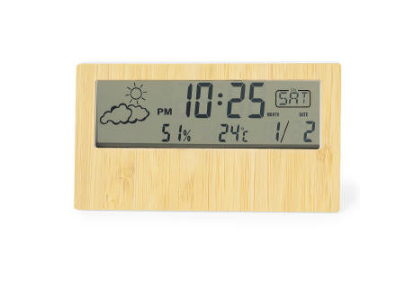 Wetterstation Roamer