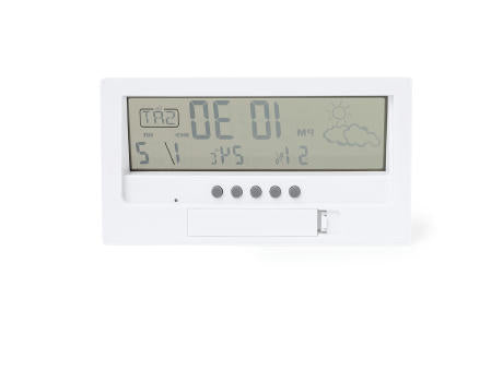 Wetterstation Roamer