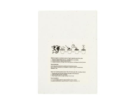 Samen Notizbuch Derna