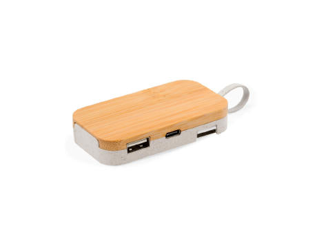 Halter USB Hub Flow