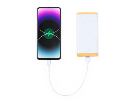 Power Bank Coquin