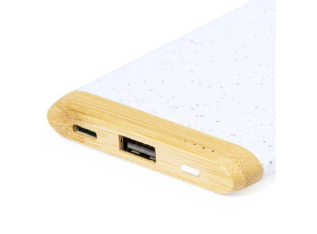 Power Bank Coquin