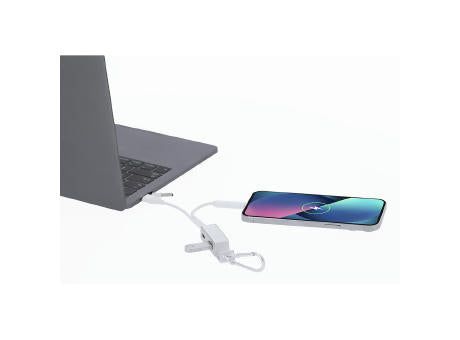 Ladegerät USB Hub Leony