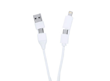 Ladegerät USB Hub Leony